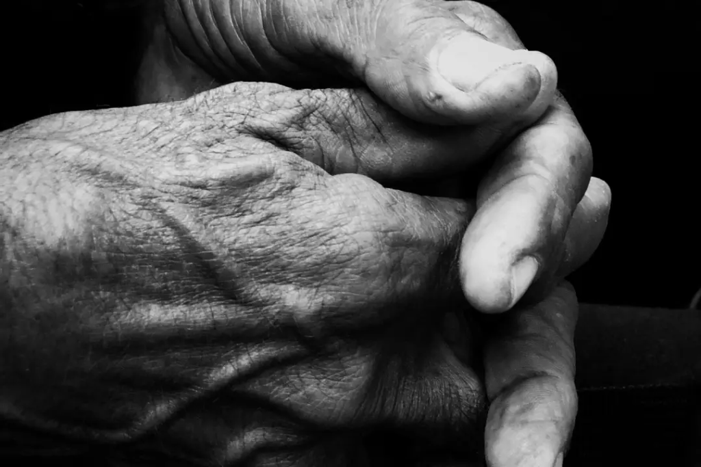 Elderly care services in Tenerife