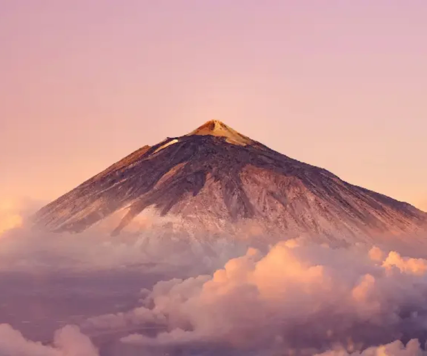 Is it better to book Tenerife holiday support or bring your carer with you
