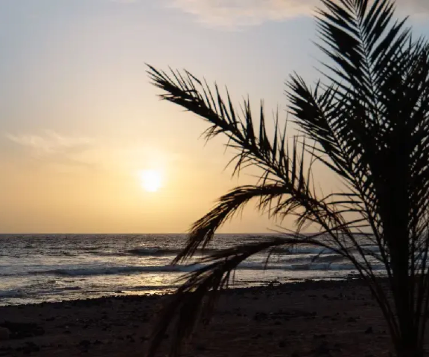 Los Cristianos vs Playa de las Américas - a guide