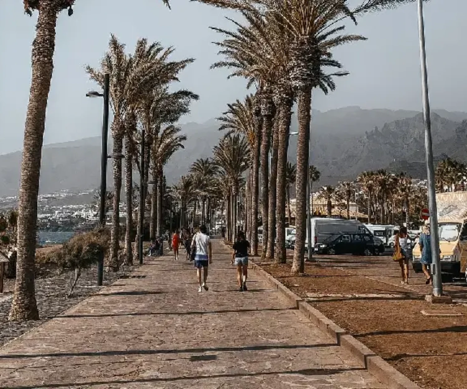 Easy days in Tenerife