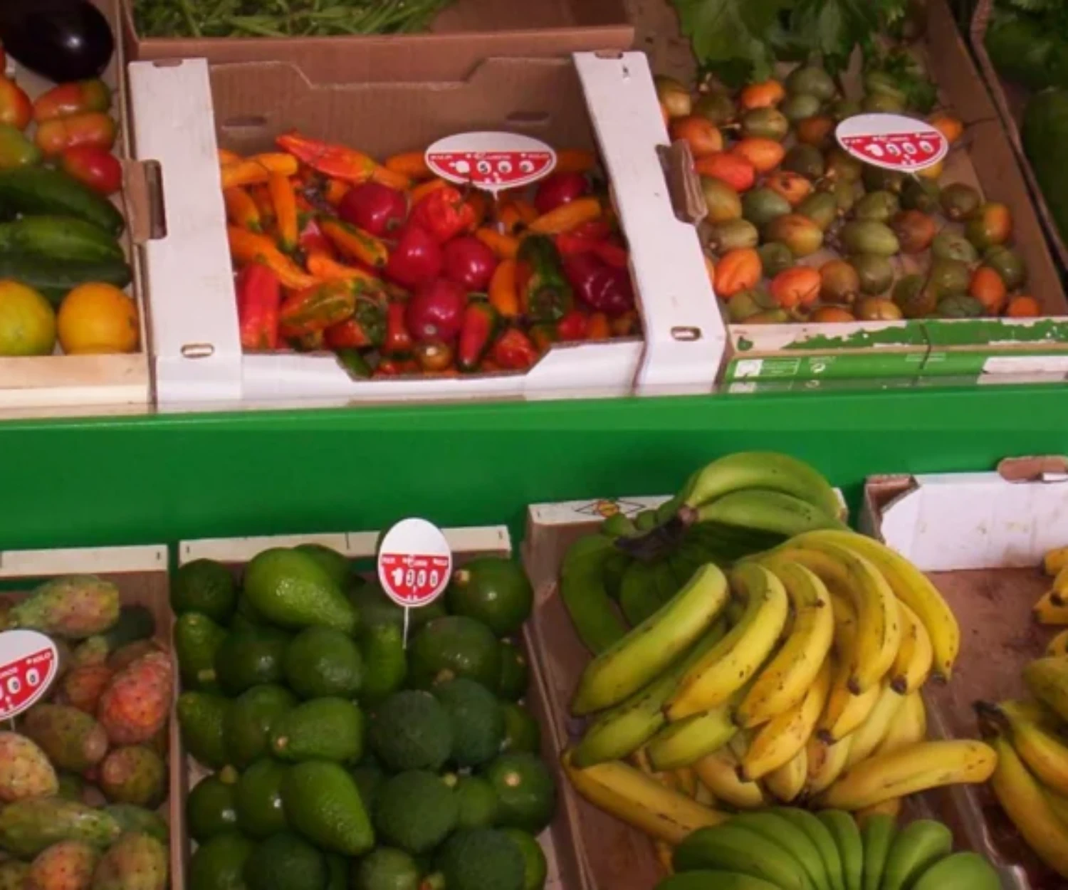 Visitors browsing fresh local produce at a Tenerife market